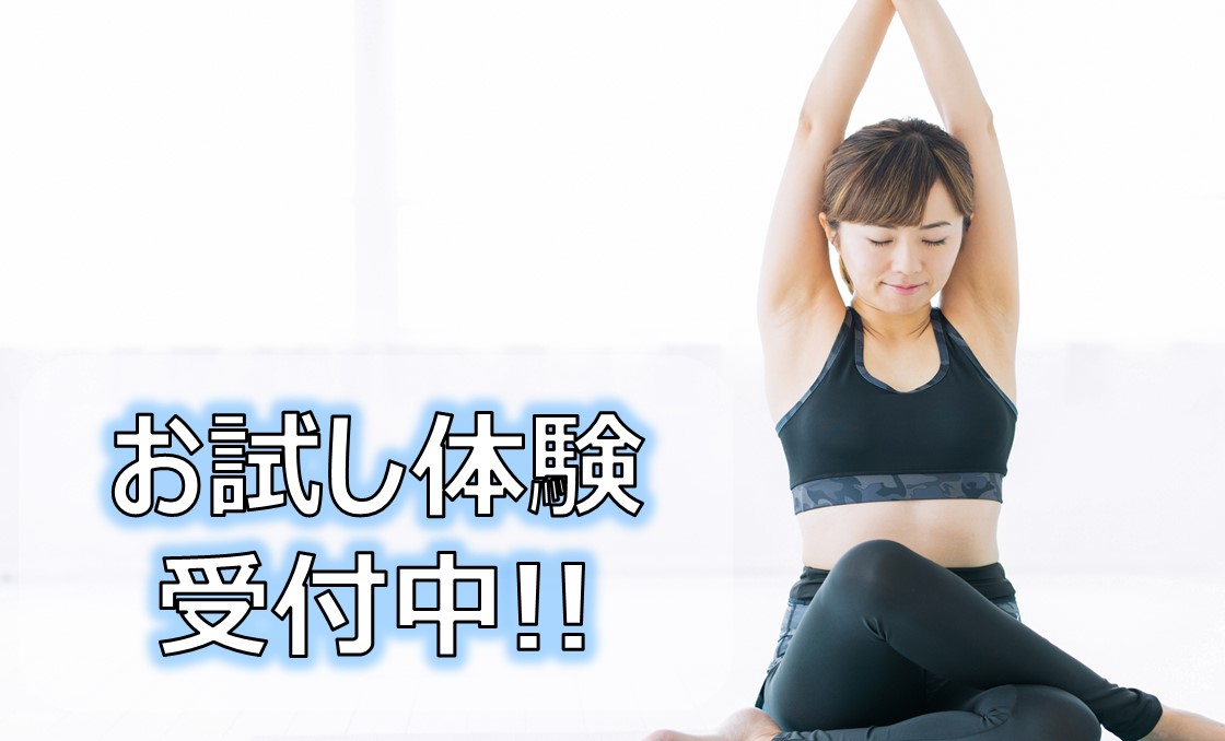 ブログ写真