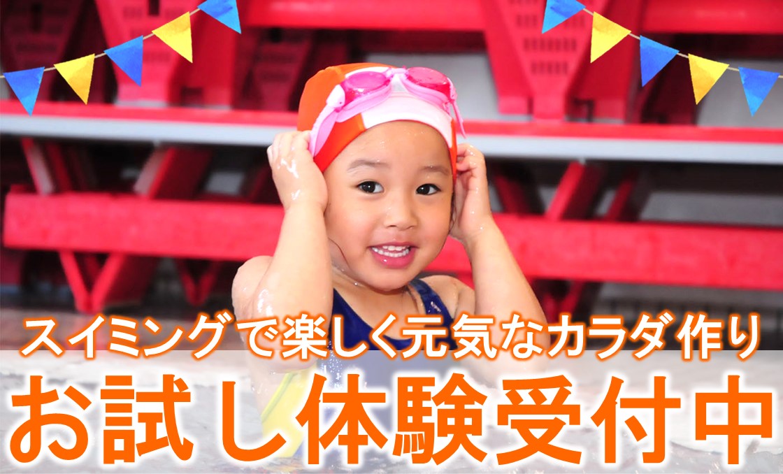 ブログ写真