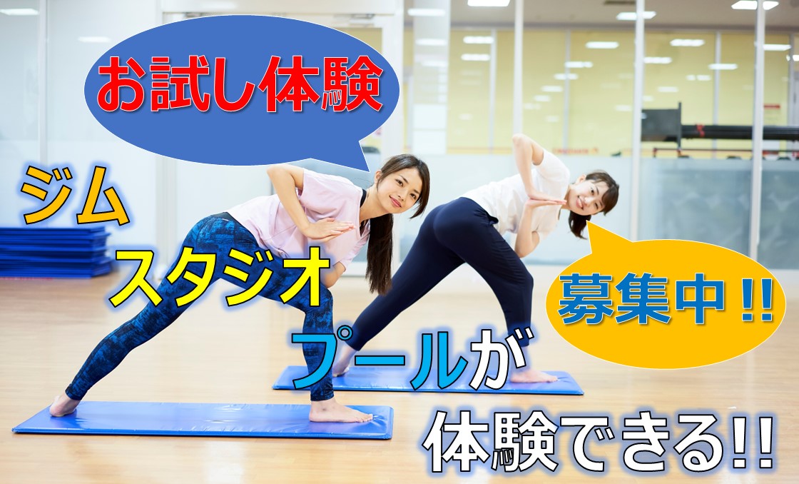 ブログ画像